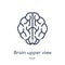 Linear brain upper view icon from Human body parts outline collection. Thin line brain upper view icon isolated on white