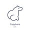 Linear capybara icon from Animals outline collection. Thin line capybara icon isolated on white background. capybara trendy