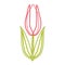 Linear color stylized tulip pattern. Isolated icon.