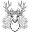 Linear drawing of the head of a young horned deer, openwork flowers, romantic wreath.