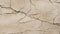 Linear Fissures Elegance: Limestone Canvas. AI generate