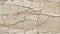 Linear Fissures Mosaic: Limestone Backdrop. AI generate