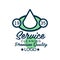 Linear logo design for house cleaning service or car wash company. Icon with white water drop in green ellipse. Flat