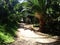 The linear Park in Nicosia is mostly natural soil but some areas are paved