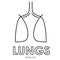 Linear stylized drawing of lungs