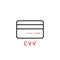 Linear thin line credit card with cvv