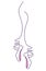 Linear vector logo for a ballet studio. Illustration of female legs in ballet shoes on ribbons.