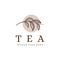 Lineart tea branch logo, tea plant logo icon vector template