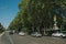 Lined leafy trees on large busy avenue full of cars in Madrid