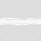 Lined ripped horizontal grey paper for text or message are on white background. Vector illustration