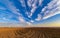 Lines in the field. Agricultural concept, sowing season. Drought.