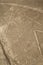 Lines and Geoglyphs of Nazca, Peru - Spider