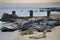 Lines of grey seals on Horsey Beach, Norfolk