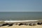 Lines of Grey seals on Horsey Beach, Norfolk