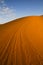 Lines on orange desert dune