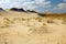 Lines in the sand form on the grassy dunes