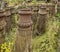 Lines of Victorian chimney pots