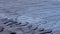 Lines on the waves of a Sea. Look like the soil of another planet of the solar galaxy. signs of extraterrestrial civilization conc