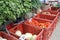 lineup of produce in crates at a market