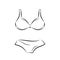 Lingerie. Bra and panties icon.