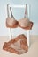 Lingerie. Fashionable beige brown sexy set - bra and tanga on a white background. Beautiful lacy women\\\'s underwear