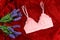 Lingerie pink bra on a red background