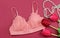 Lingerie pink bra on a red background