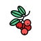 lingonberry berry color icon vector illustration