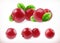 Lingonberry. Cowberry sweet fruit. Forest berry. 3d vector icons set