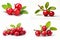 lingonberry set isolated on white background