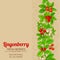 Lingonberry vector background