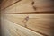 Lining wood for wall decoration. Texture of wooden slats