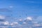 Link of three helicopters fly under white clouds in the blue sky