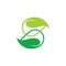 Linked green leaf letter s shape logo vector