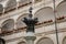 Linz, Austria, 29 August 2021: Landhaus Parliament of Upper Austria, Facade of colorful baroque buildings in historic center of