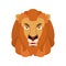 Lion angry emoji. Wild animal evil emotions. Beast aggressive. V