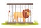 Lion in cage