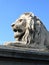 Lion of the Chain Bridge - Budapest, Hungary