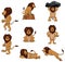 Lion Character Gesture Collection Color Illustration