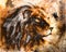 Lion collage on color abstract background, rust structure, wildlife animals.