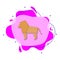 A lion colored origami style liquid bacdge icon. Simple color vector of oriqami animals icons for ui and ux, website or mobile