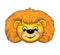 A lion cub Mask, carnival, childrens events, cartoon