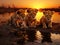 Lion cubs drinking water