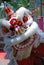 Lion dance festival