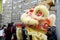 Lion Dancer