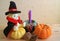 Lion doll in wizard costume with a pair of bright color ripe pumpkins, two pine cones and candle