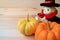 Lion doll in wizard costume with a pair of vivid color ripe pumpkins on wooden table, with free space for design