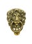 Lion door knocker