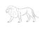 Lion Drawing Vector Illustration