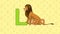 Lion. English ZOO Alphabet - letter L